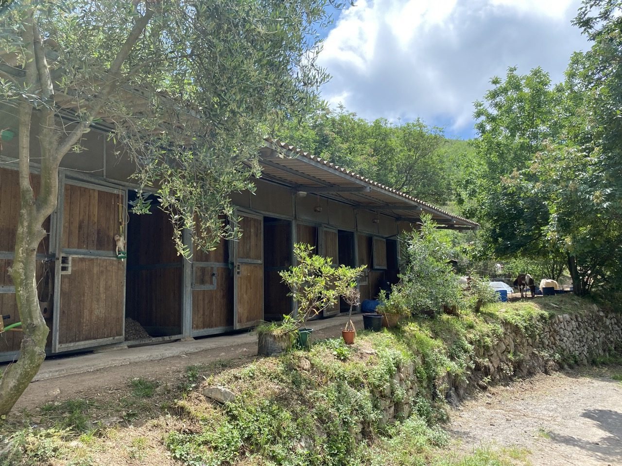 Maison à vendre, 80m², Vence