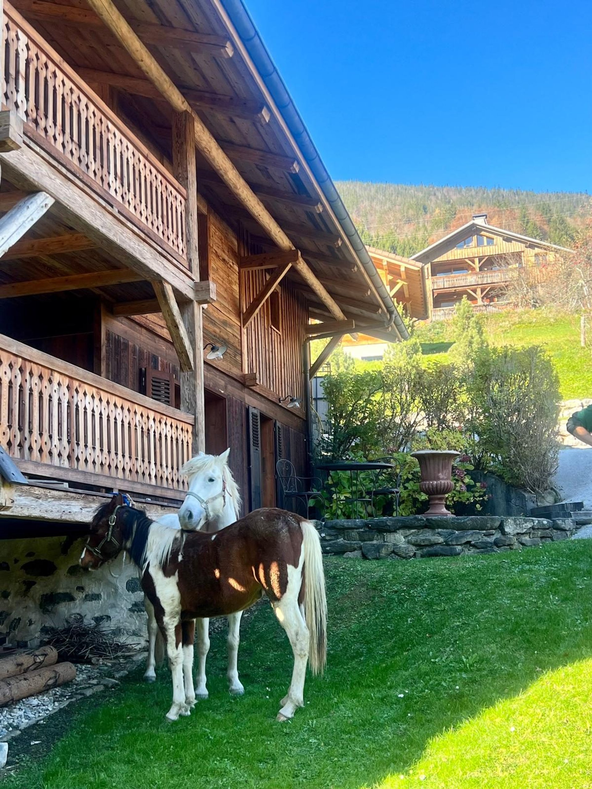 Maison – Bellevaux, La Clusaz - Vue 5