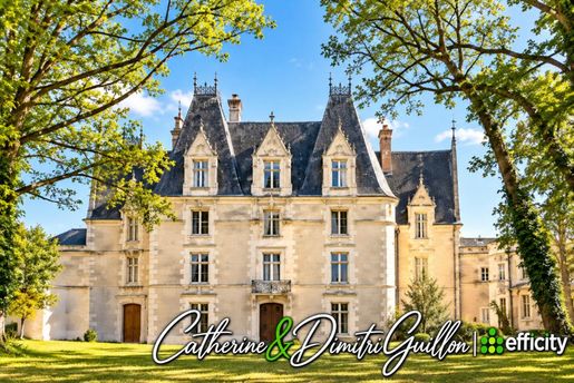 Maison 172 m² · à Vouillé · 172 m² · 3 875 000 €