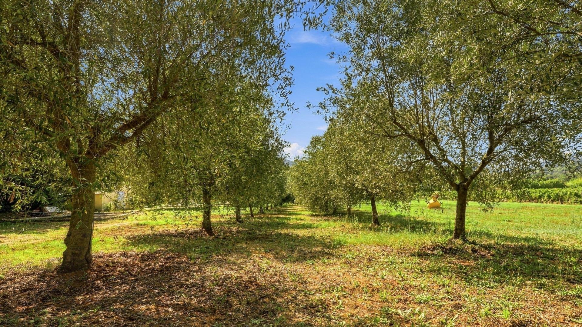 Maison à vendre, 272m², Collobrières