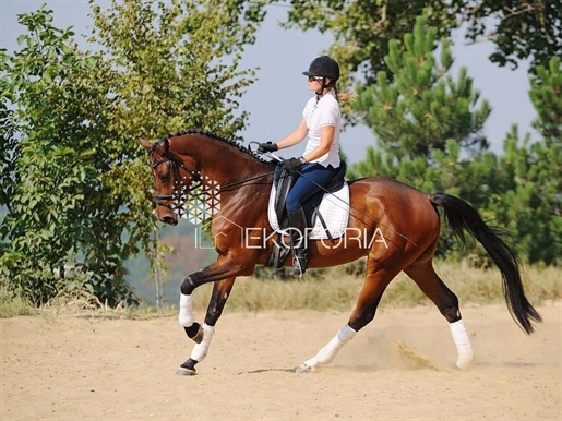 Advert pic 0