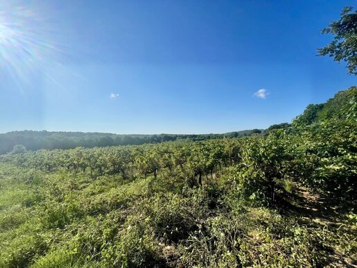 Terrain 1898 m² · à Saint-Laurent-des-Arbres · 147 000 €