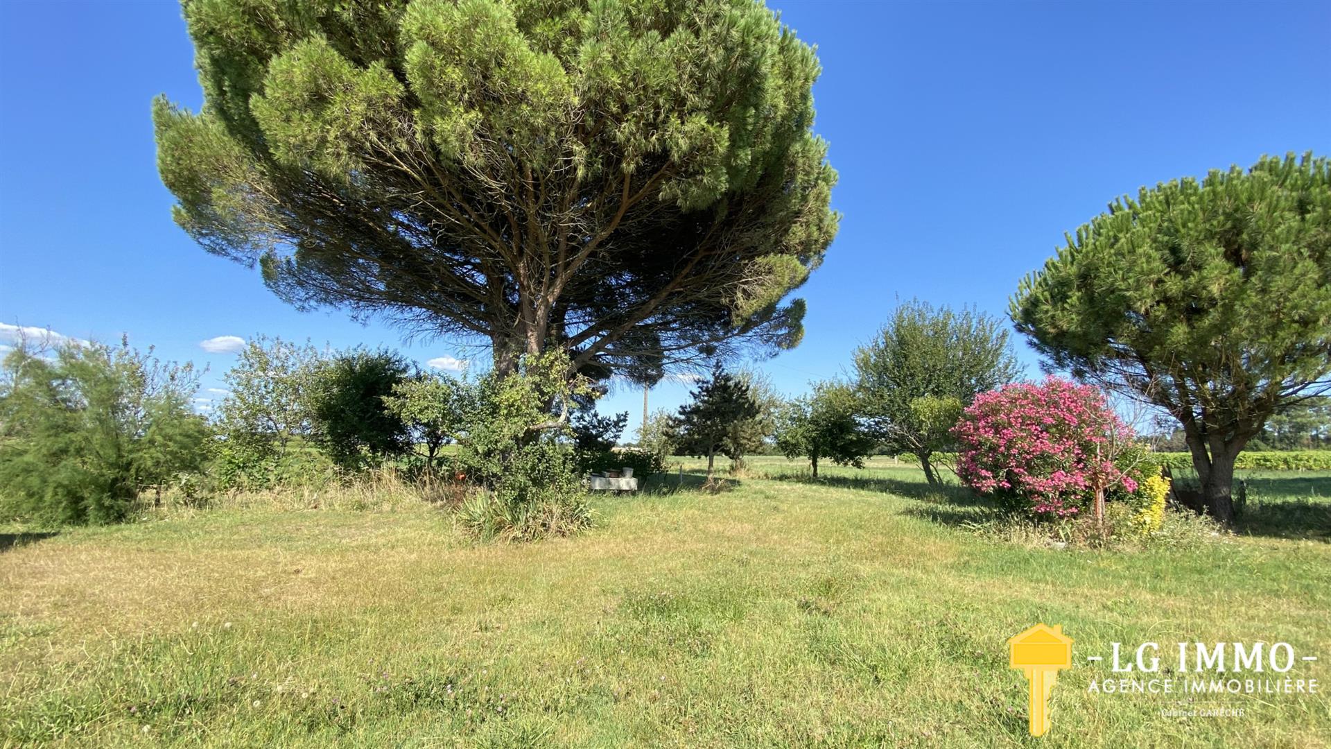 Maison à vendre, 116m², Chenac-Saint-Seurin-d'Uzet