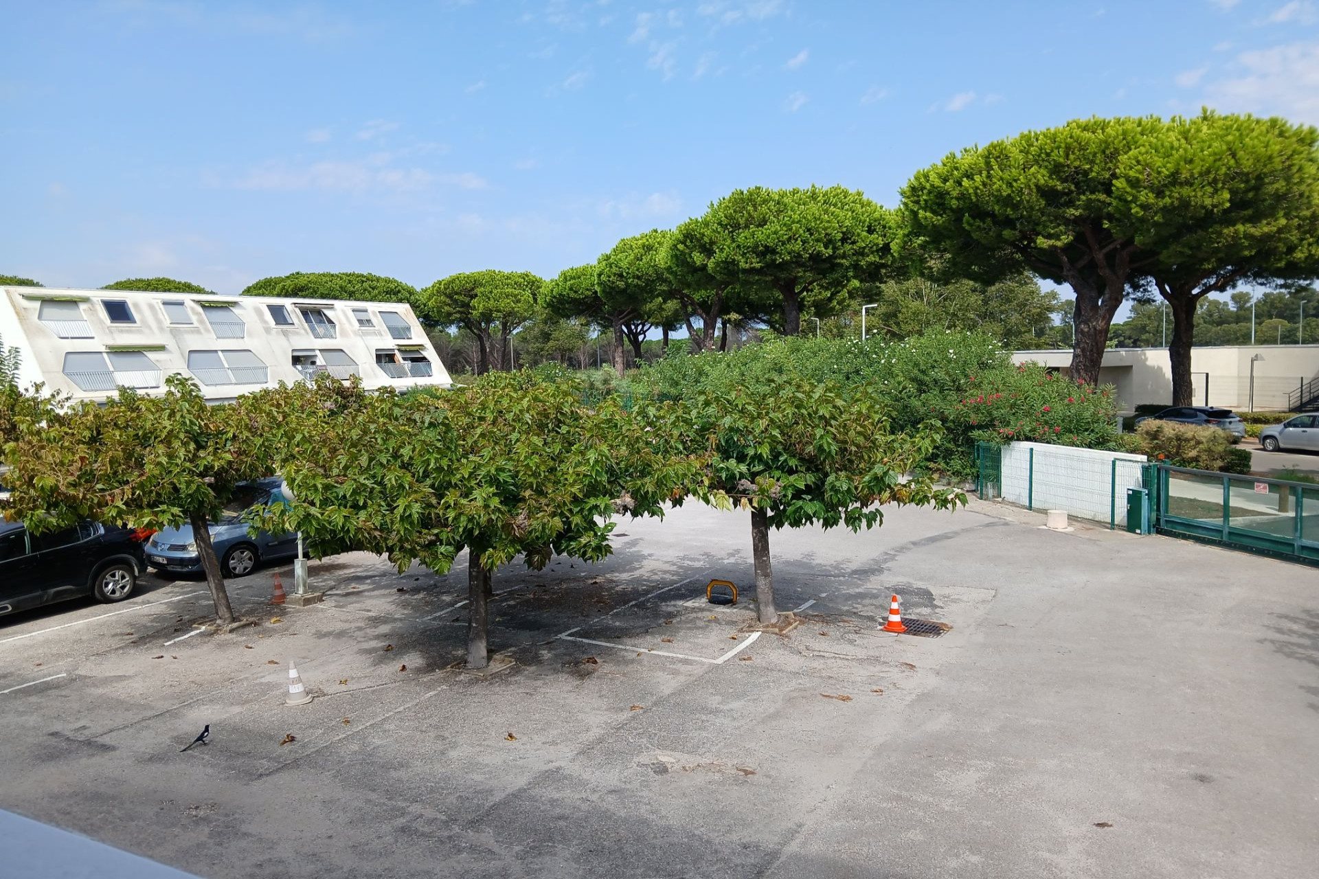 La Grande-Motte (Hérault) photo 5
