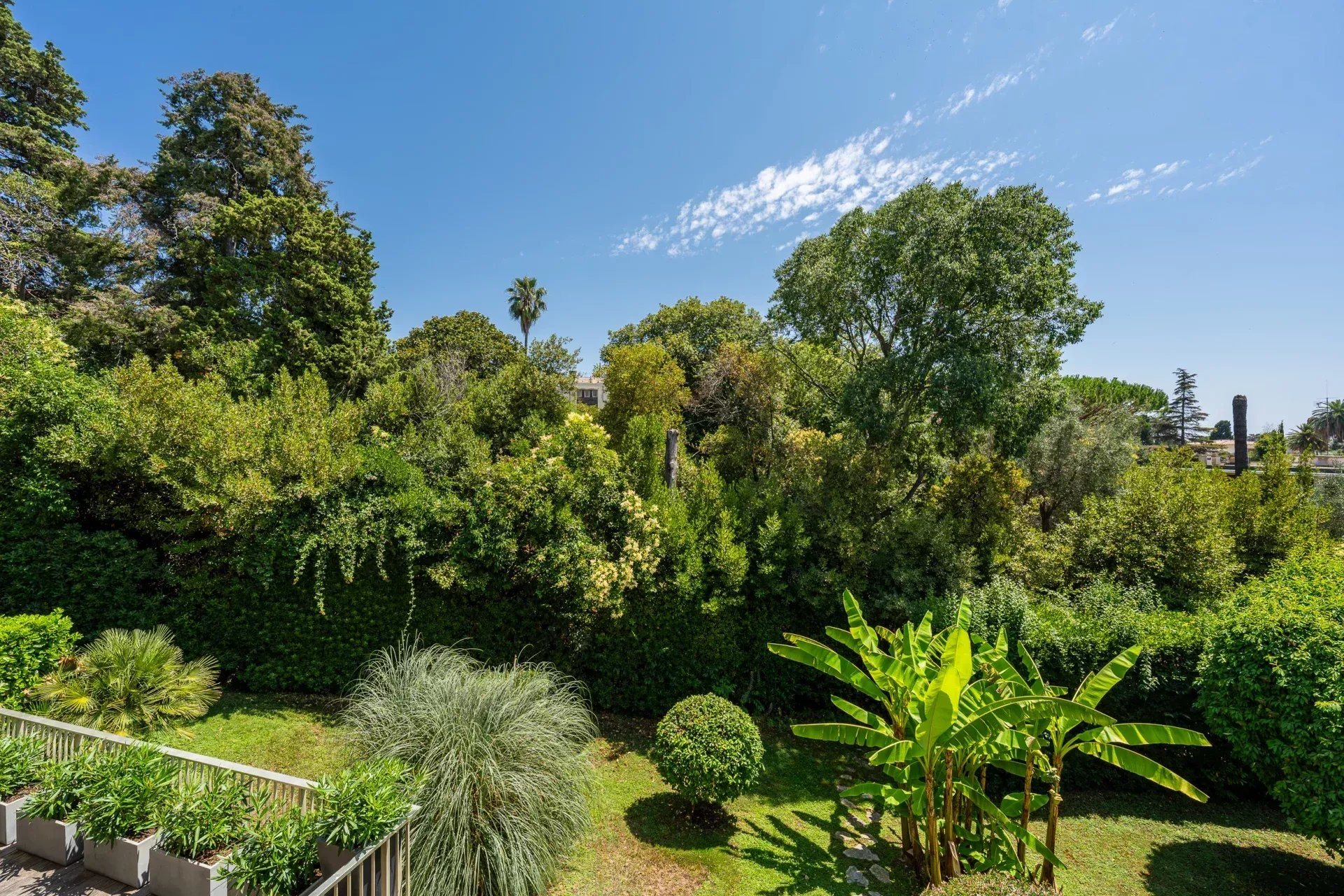 Cannes Montrose - Large 1 Bedroom Apaertment - Terrace - Parking - Vue 4