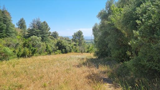 Terrain 1690 m² · à Caunes-Minervois · 1 690 m² · 71 000 €