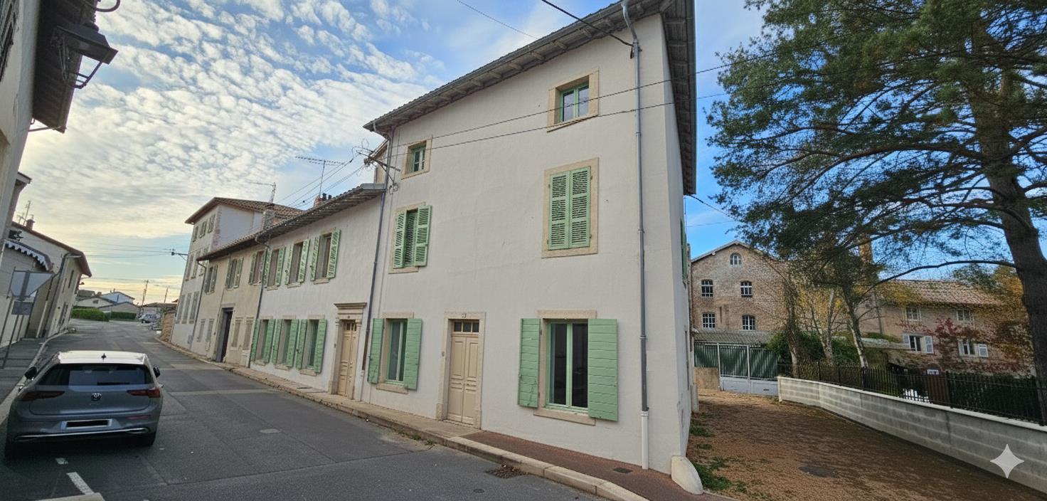 Maison à vendre, 270m², Guéreins