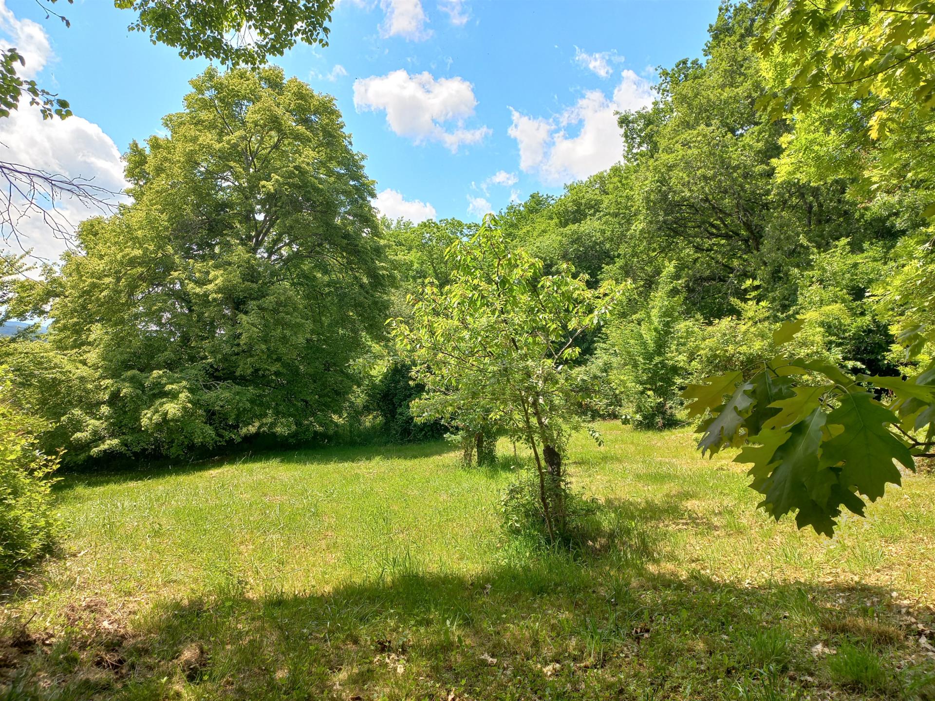 Maison à vendre, 272m², Trie-sur-Baïse