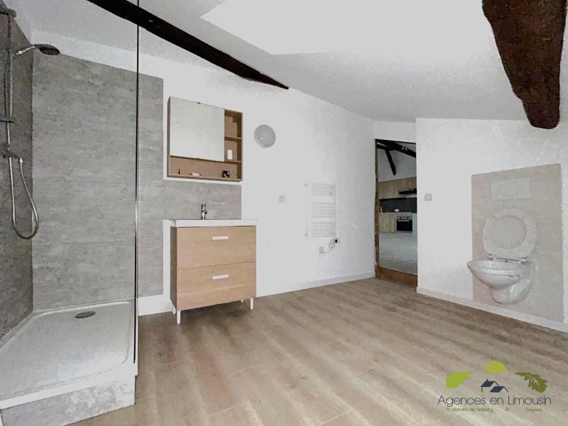 Appartement à vendre, 149m², Saint-Léonard-de-Noblat