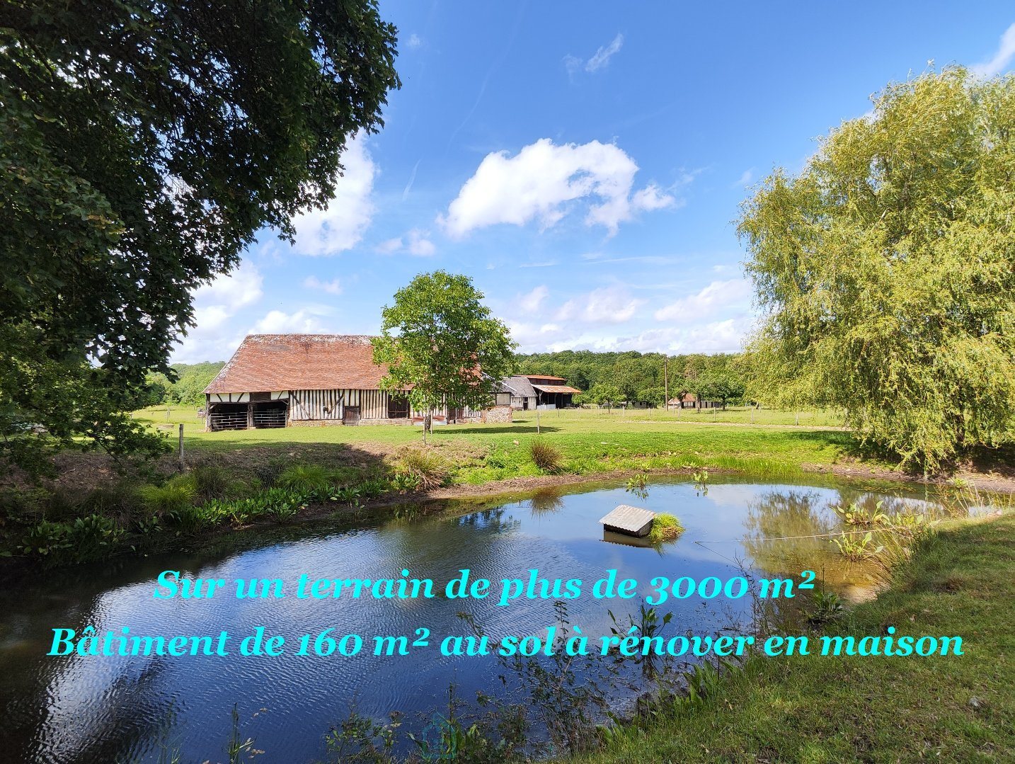 Maison à vendre, 160m², Broglie