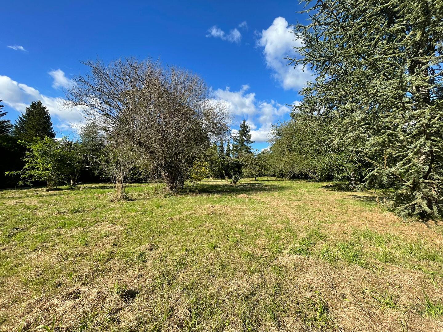 Maison à vendre, 74m², Bellechaume