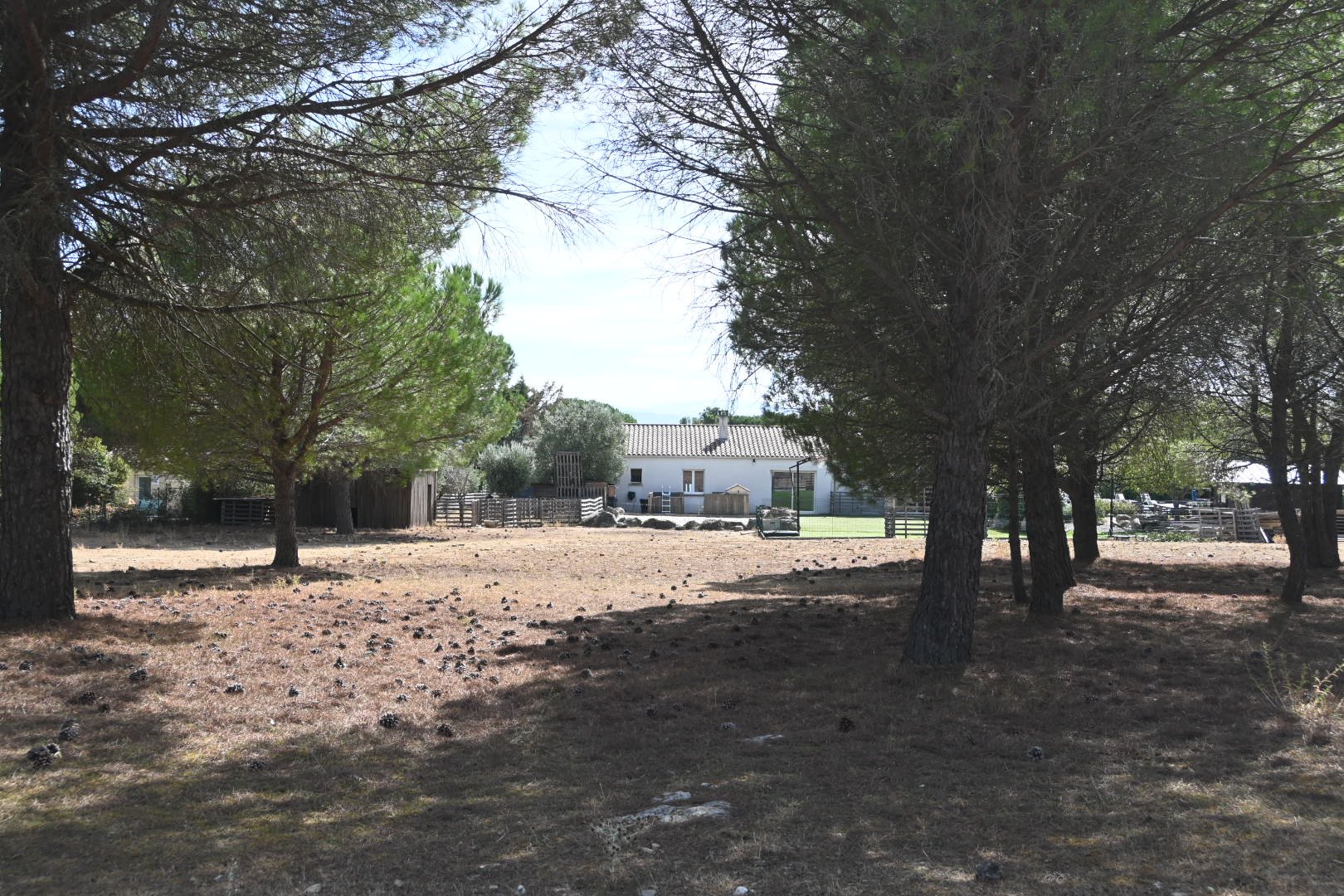 Maison à vendre, 158m², Villemoustaussou