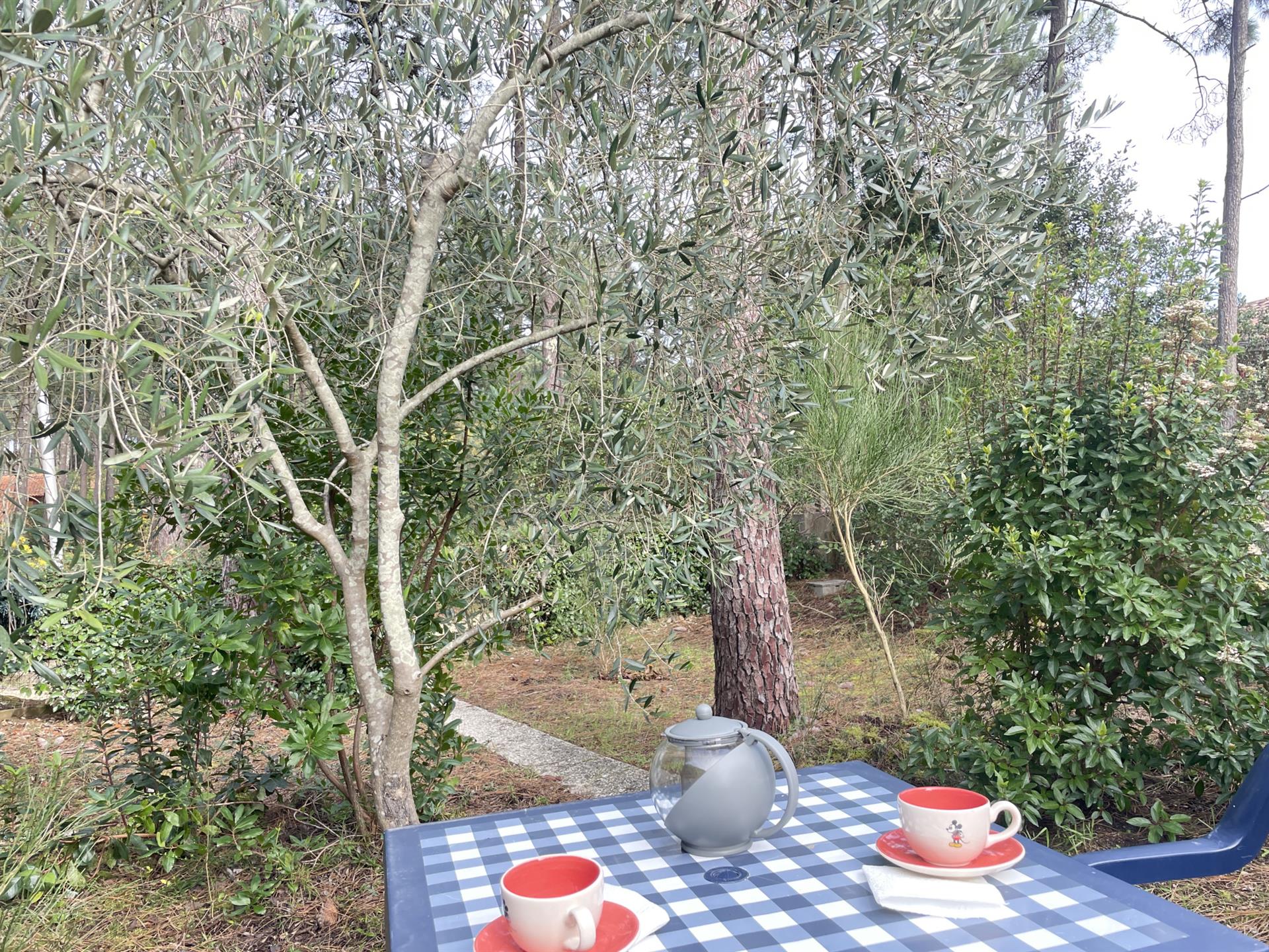Maison à vendre, 35m², Lacanau