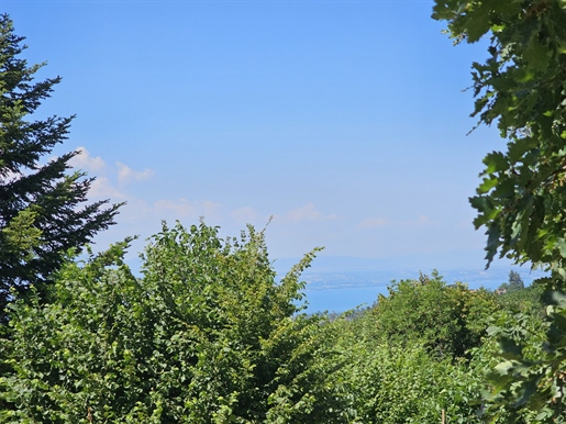 Terrain 1997 m² · à Armoy · 1 997 m² · 290 000 €