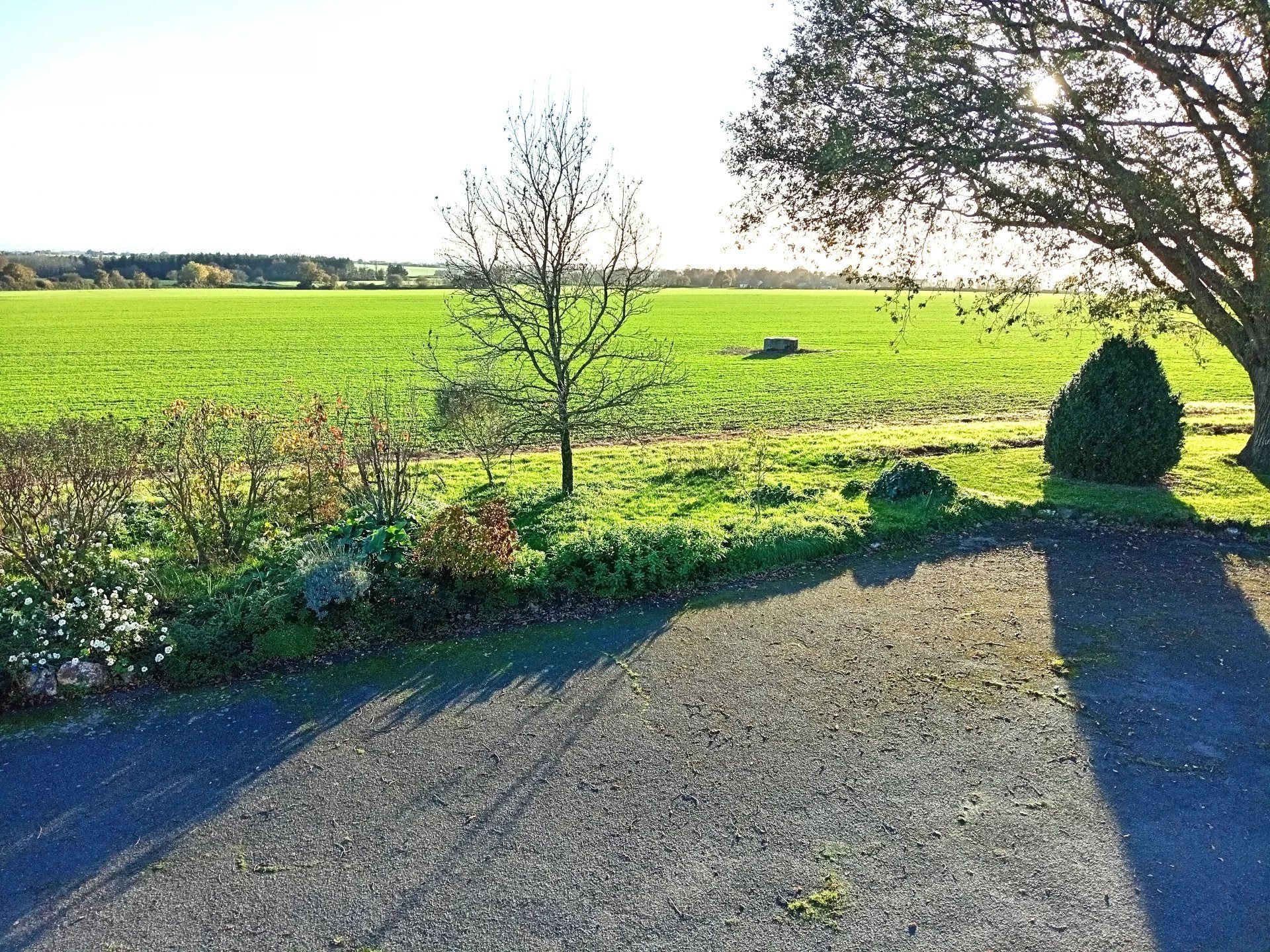 Maison à vendre, 229m², Mésanger