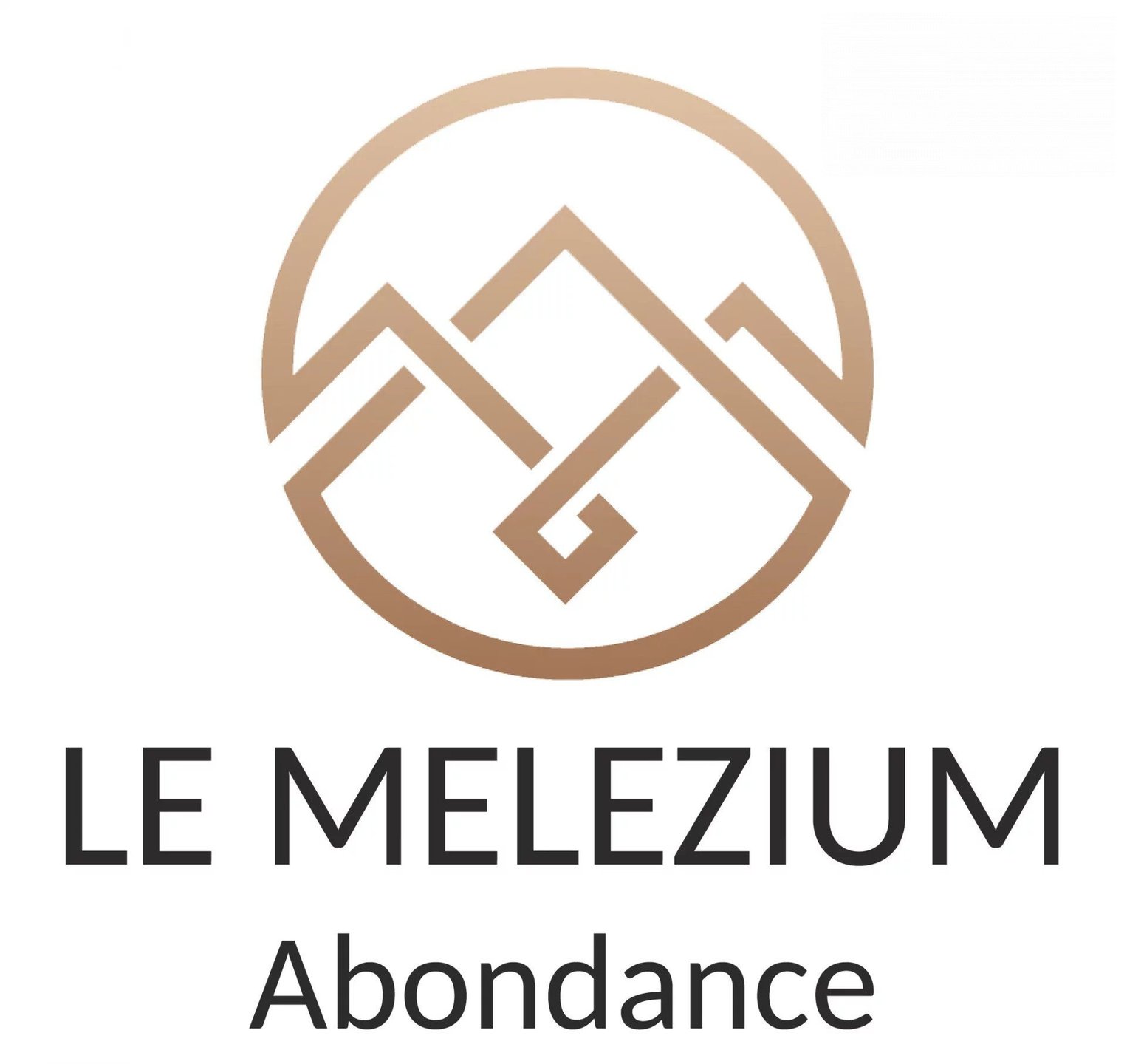 Appartement à vendre, 69m², Abondance