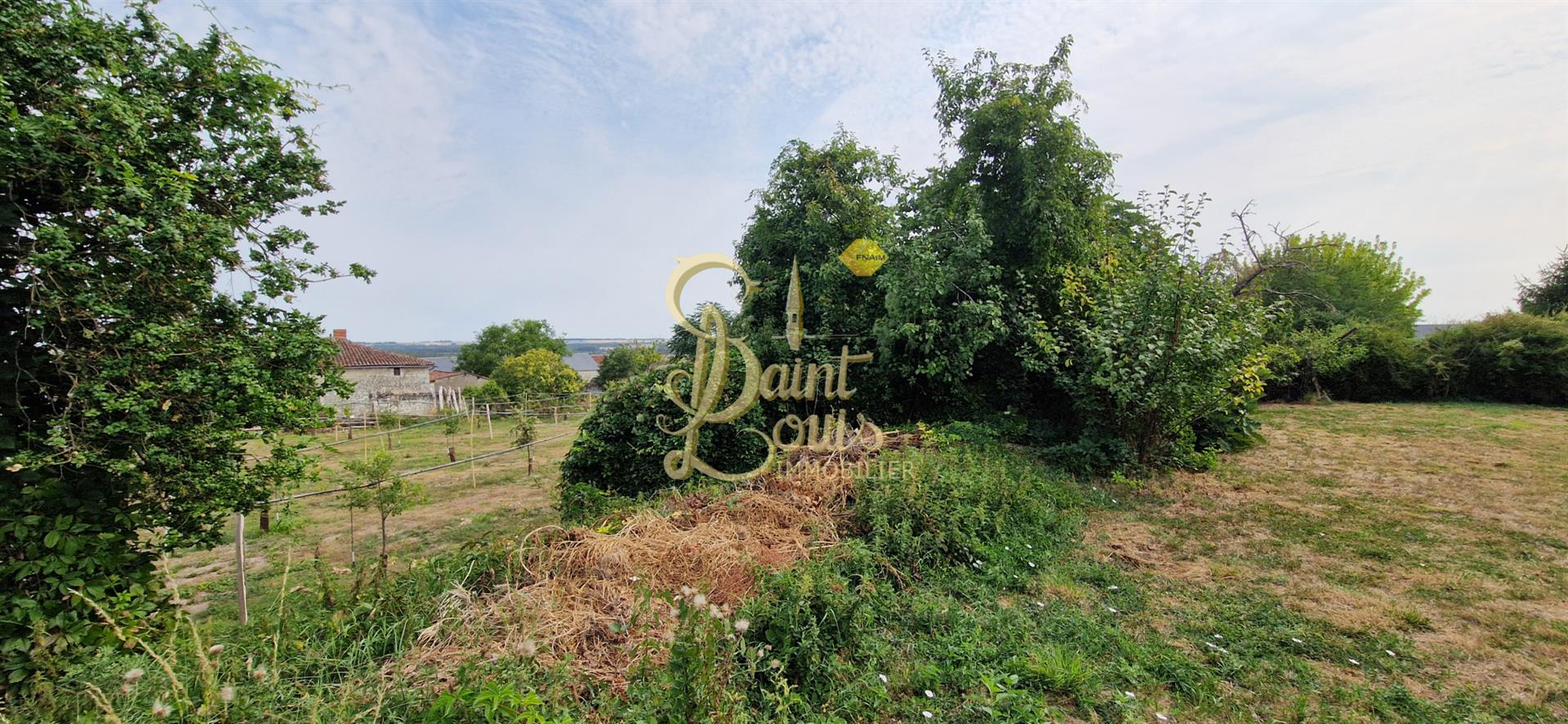 Maison à vendre, 95m², Faye-la-Vineuse