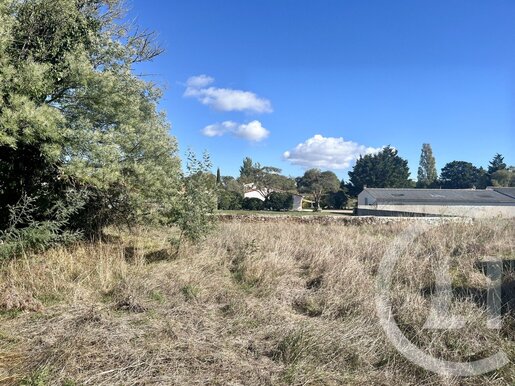 Terrain, terrain 303 m² — Saint-Pierre-d'Oléron (Charente-Maritime) · 79 500 €