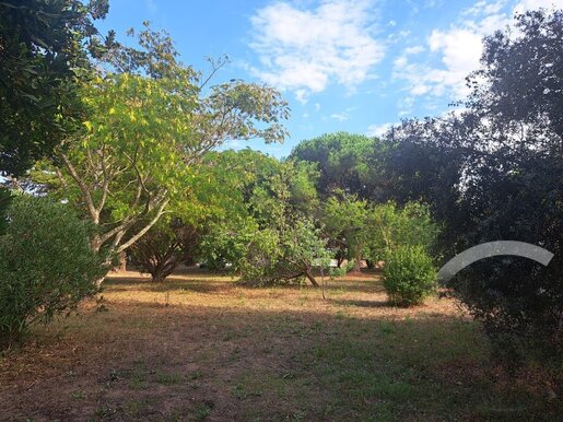 Terrain, terrain 815 m² — Saint-Georges-d'Oléron (Charente-Maritime) · 239 000 €