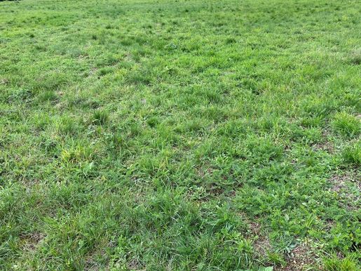 Terrain, terrain 1083 m² — Gorre (Haute-Vienne) · 40 000 €
