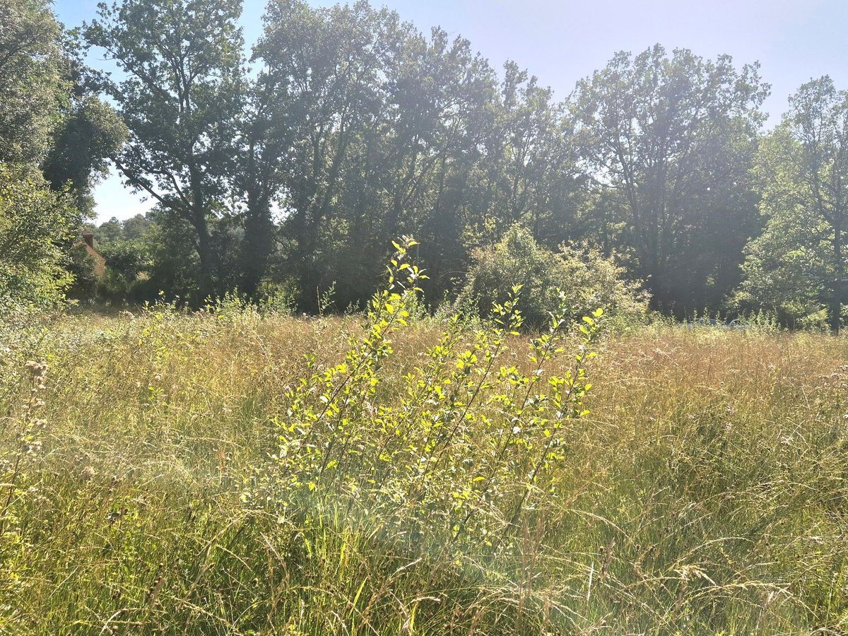 Purchase: Land (24200) - Vue 3