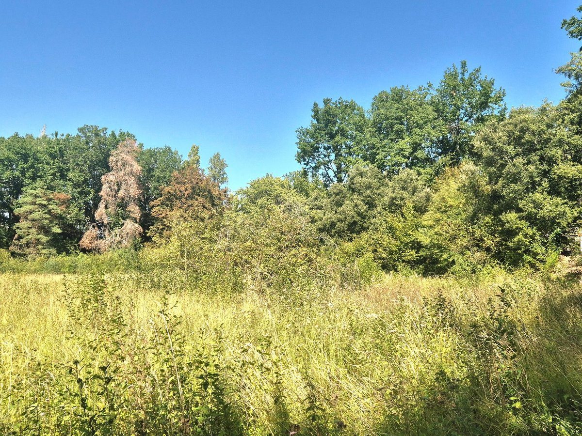 Purchase: Land (24200) - Vue 5