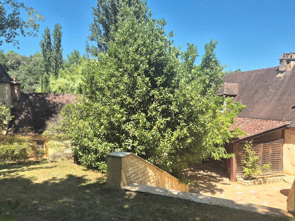 Maison à vendre, 550m², Les Eyzies-de-Tayac-Sireuil