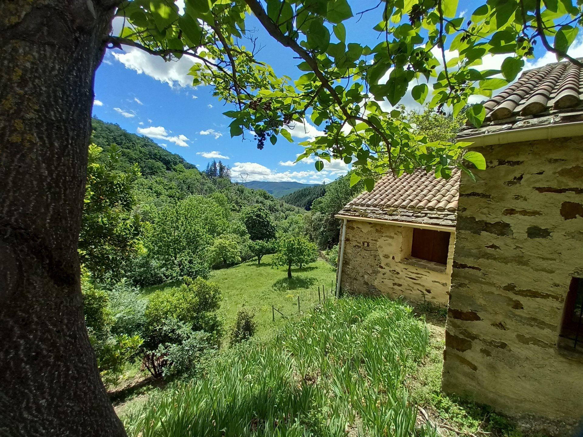 Maison à vendre, 196m², Saint-Vincent-d'Olargues