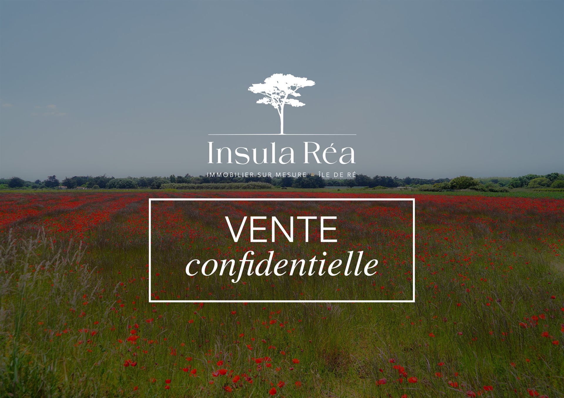 Maison à vendre, 165m², Saint-Martin-de-Ré