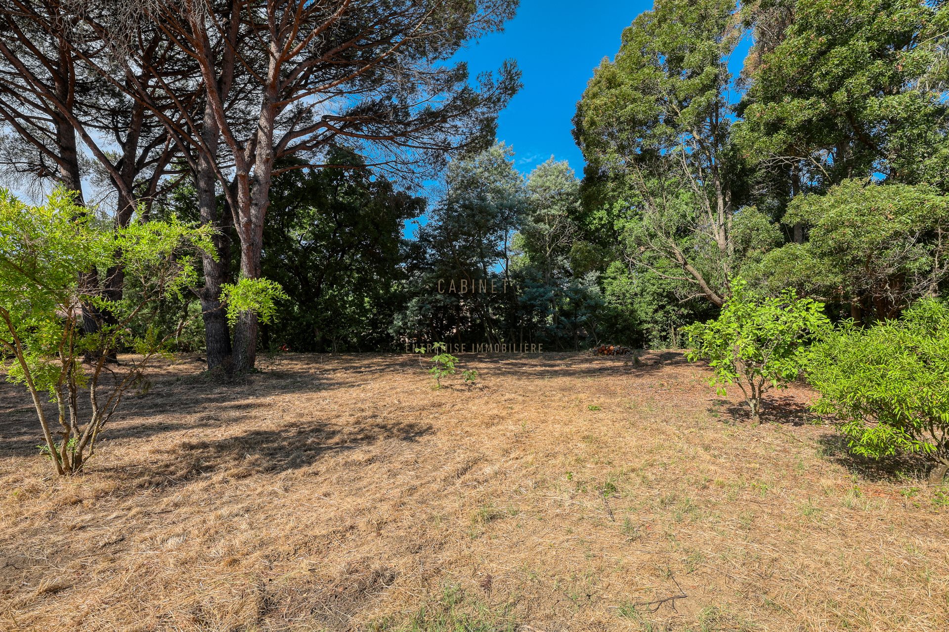 Sole agent: Land for sale in the heart of Saint-Tropez - Ansicht 3