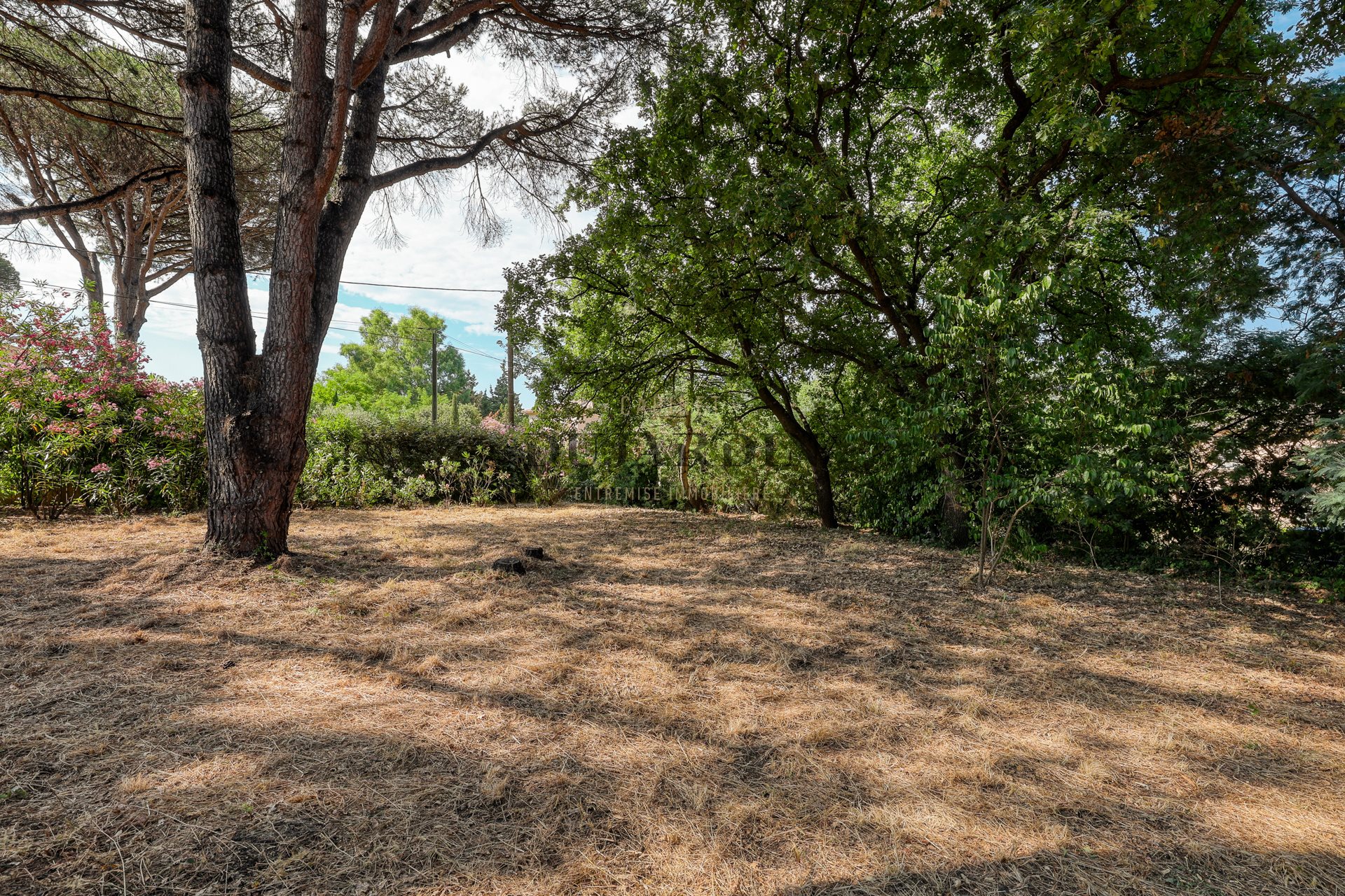 Sole agent: Land for sale in the heart of Saint-Tropez - Ansicht 4