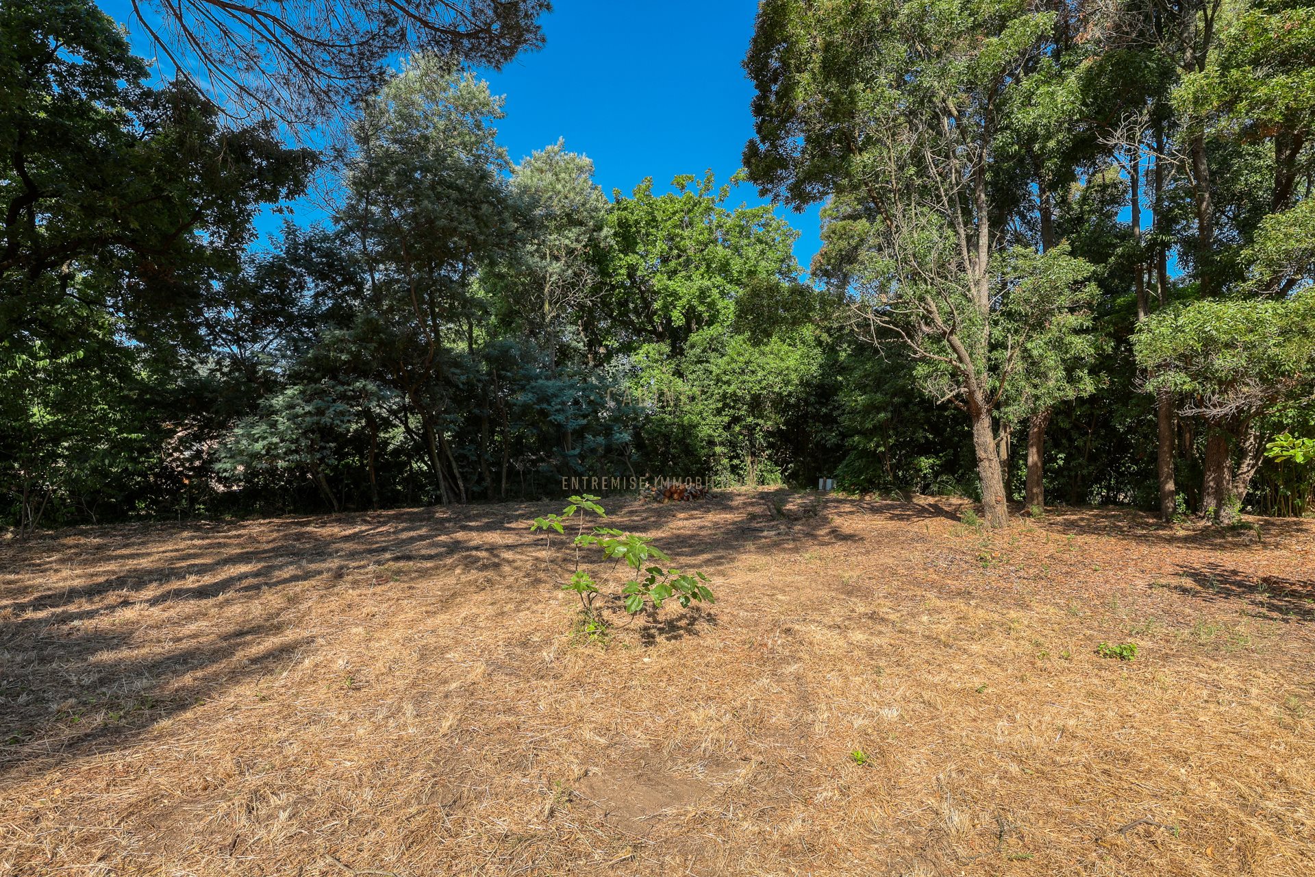 Sole agent: Land for sale in the heart of Saint-Tropez - Ansicht 5