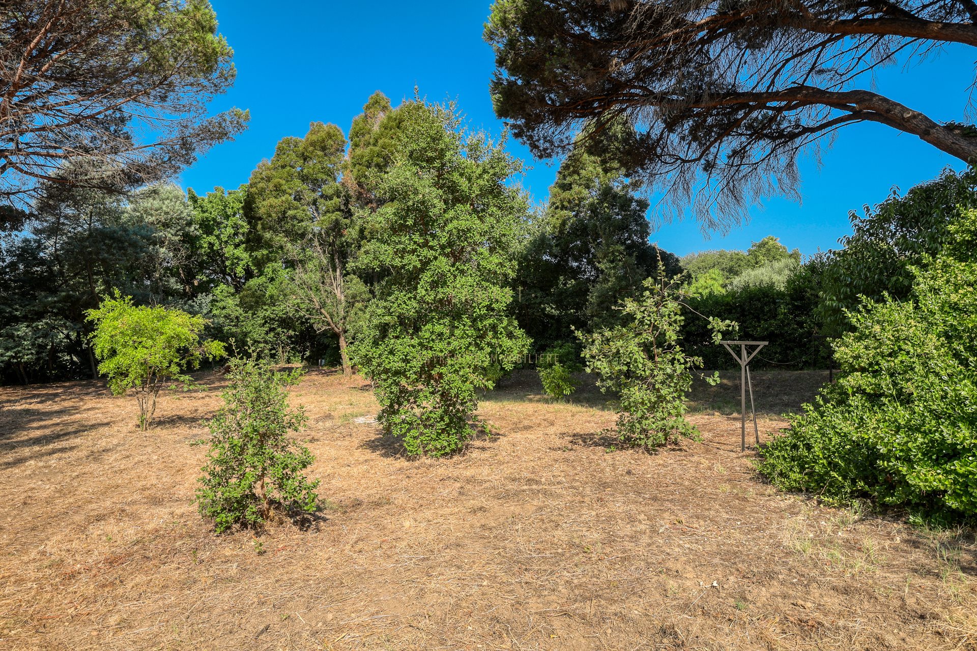 Sole agent: Land for sale in the heart of Saint-Tropez - Ansicht 6