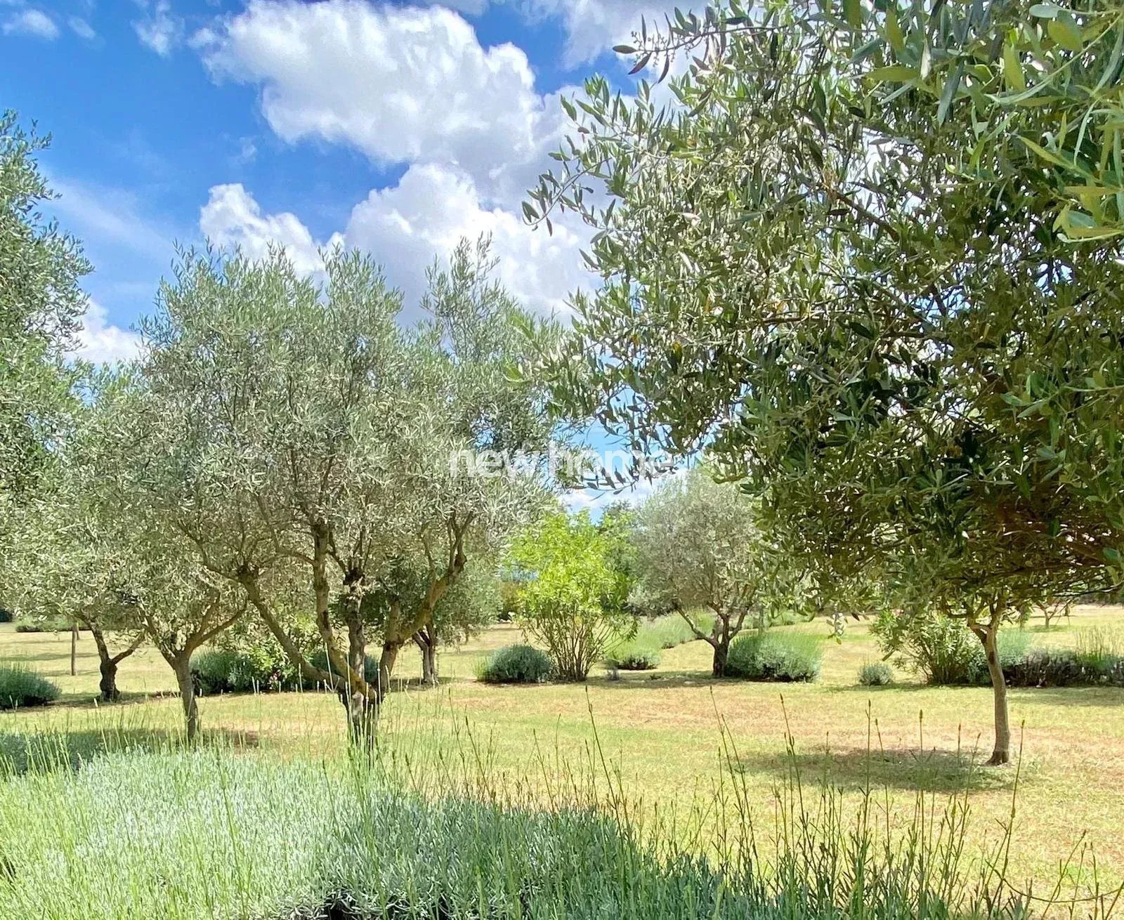 Maison à vendre, 210m², Le Cannet-des-Maures