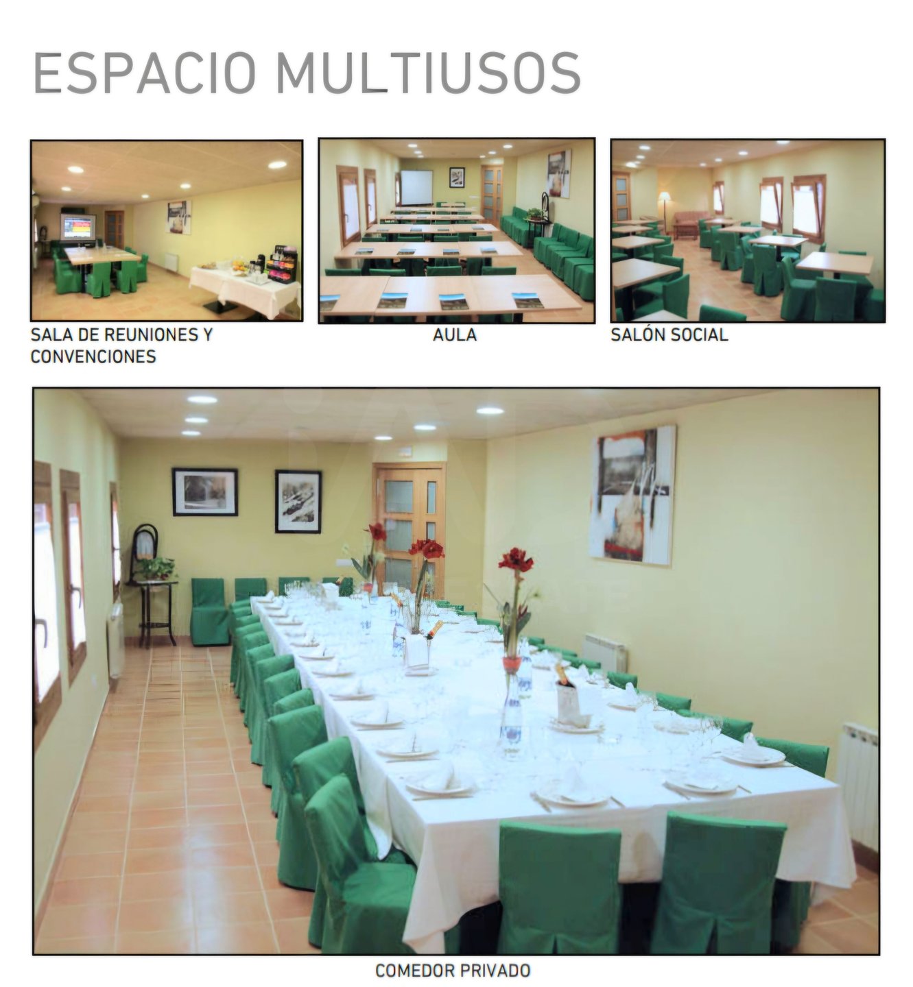 Fotografía 6