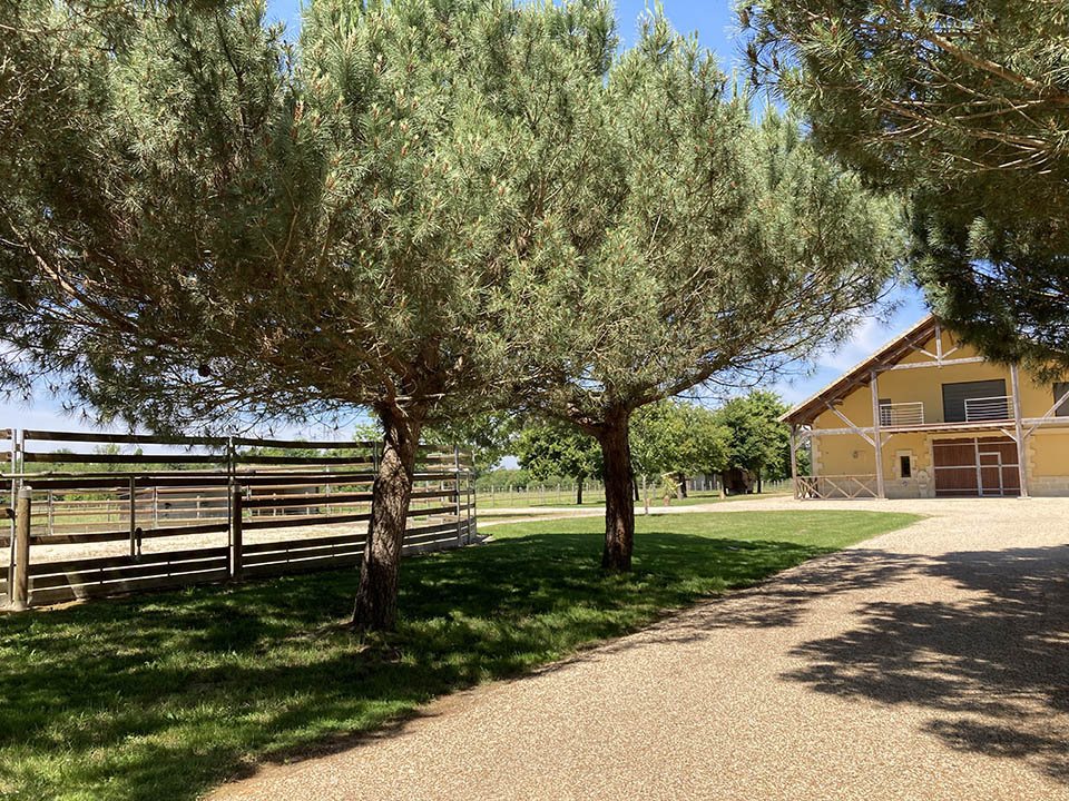 Maison à vendre, 680m², Montpon-Ménestérol