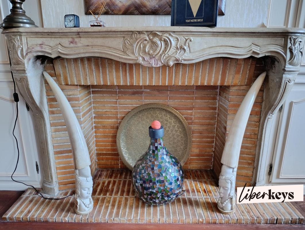Appartement à vendre, 229m², Tournus