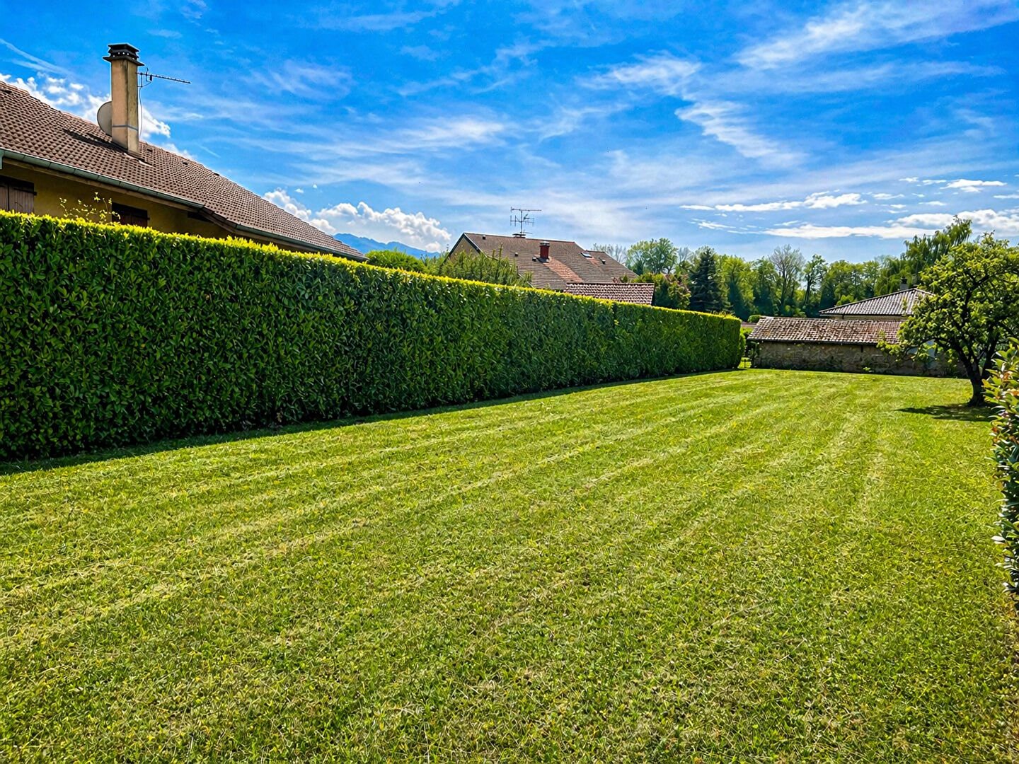 Purchase: Land (74200)