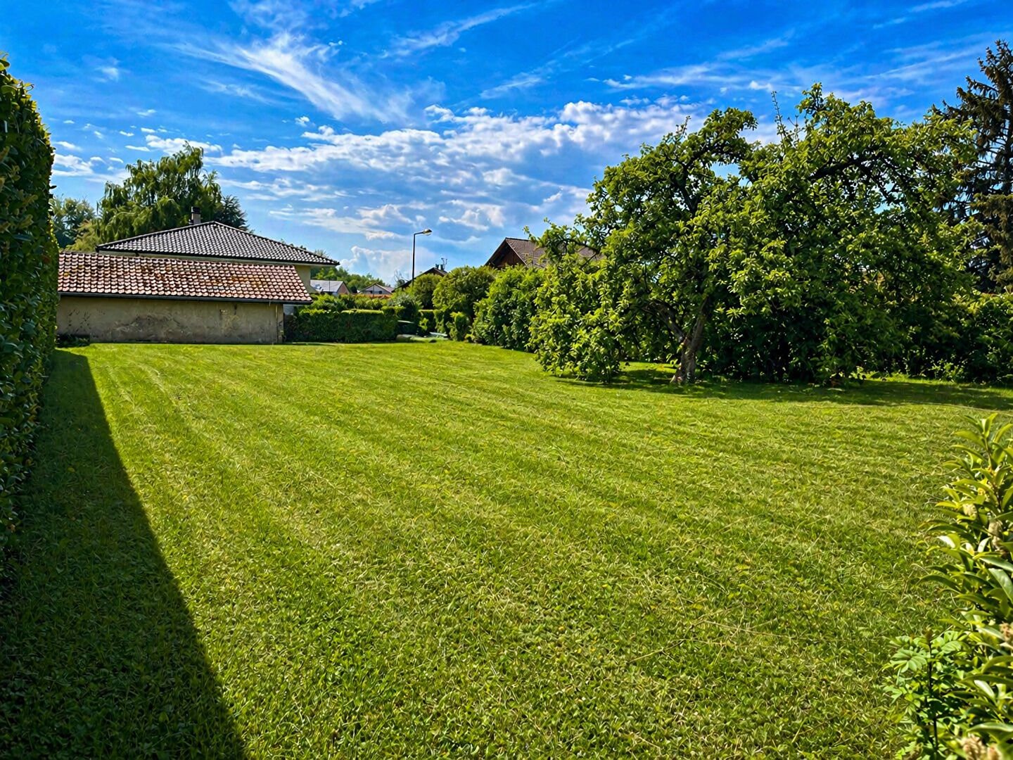 Purchase: Land (74200) - Vue 2