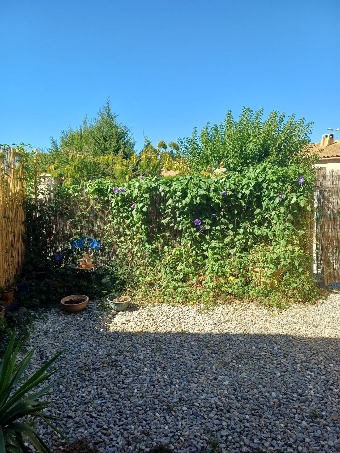 Maison à vendre, 109m², Lézignan-Corbières