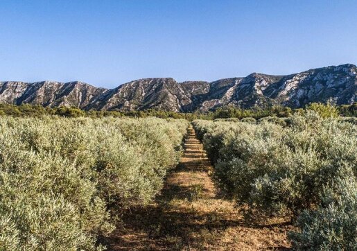 Terrain 884 m² · à Graveson · 884 m² · 280 000 €