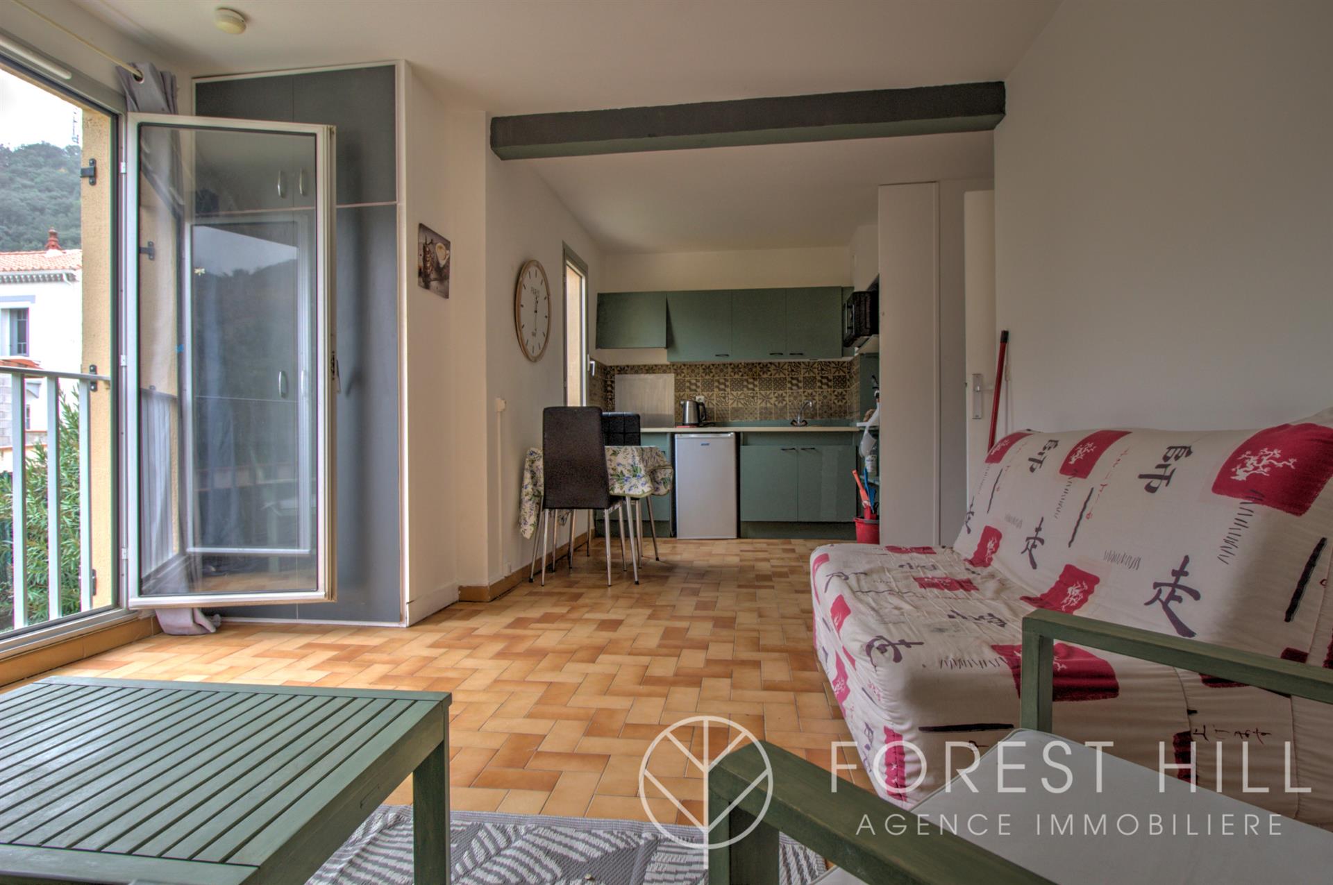 Appartement à vendre, 29m², Amélie-les-Bains-Palalda