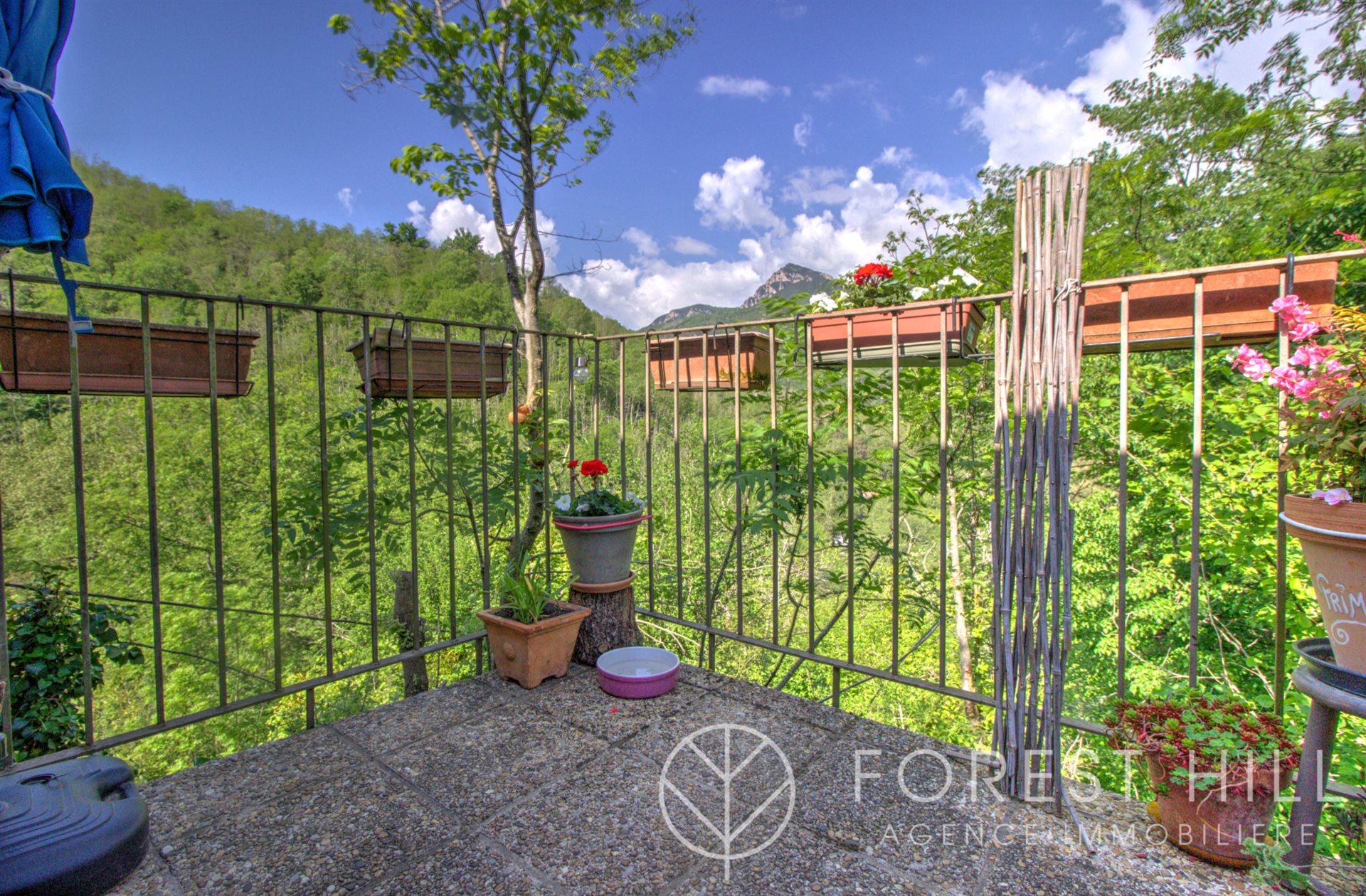 Maison à vendre, 300m², Saint-Laurent-de-Cerdans