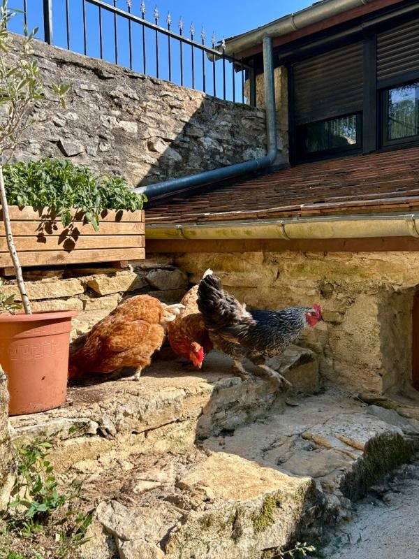 Maison à vendre, 96m², Saint-Martial-d'Albarède