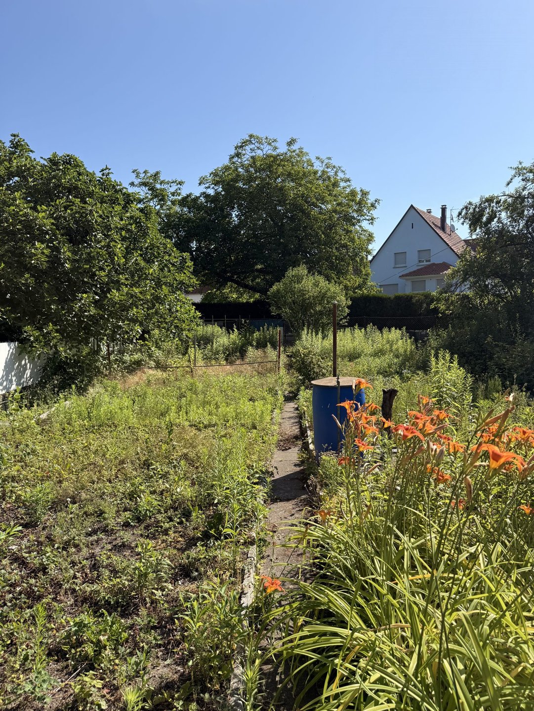 Maison à vendre, 105m², Lingolsheim