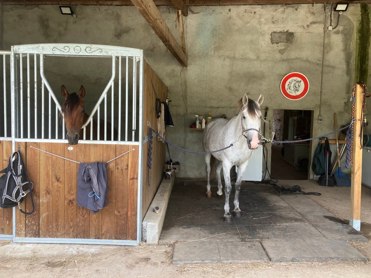 Maison à vendre, 217m², Châteauneuf-sur-Charente