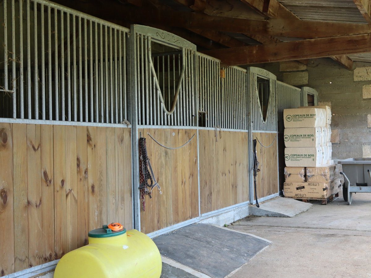 Maison à vendre, 217m², Châteauneuf-sur-Charente