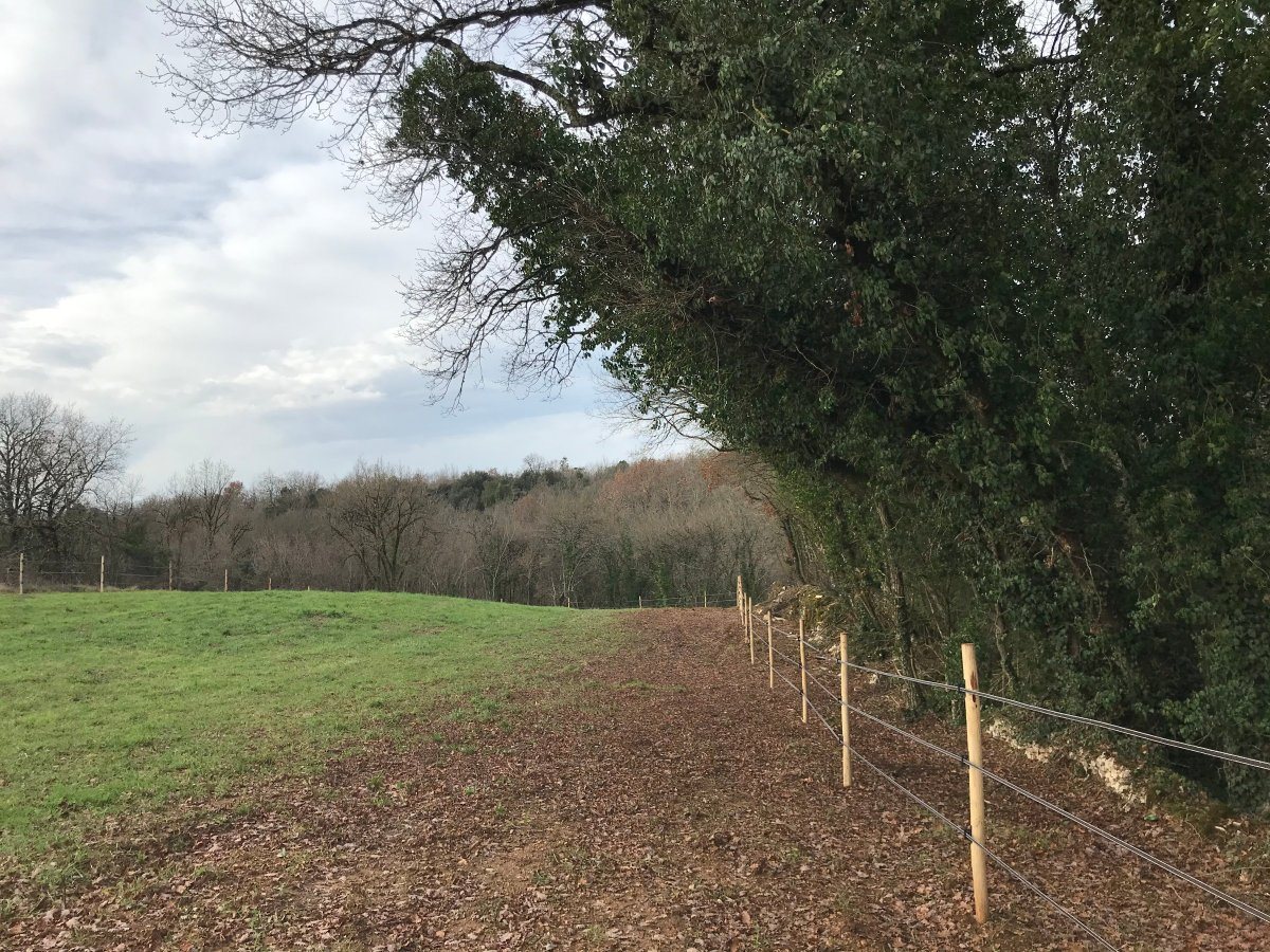 Maison à vendre, 217m², Châteauneuf-sur-Charente