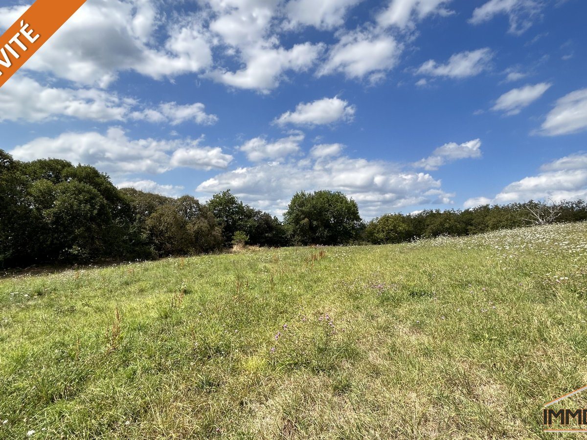 Beautiful Building Plot - Vue 3