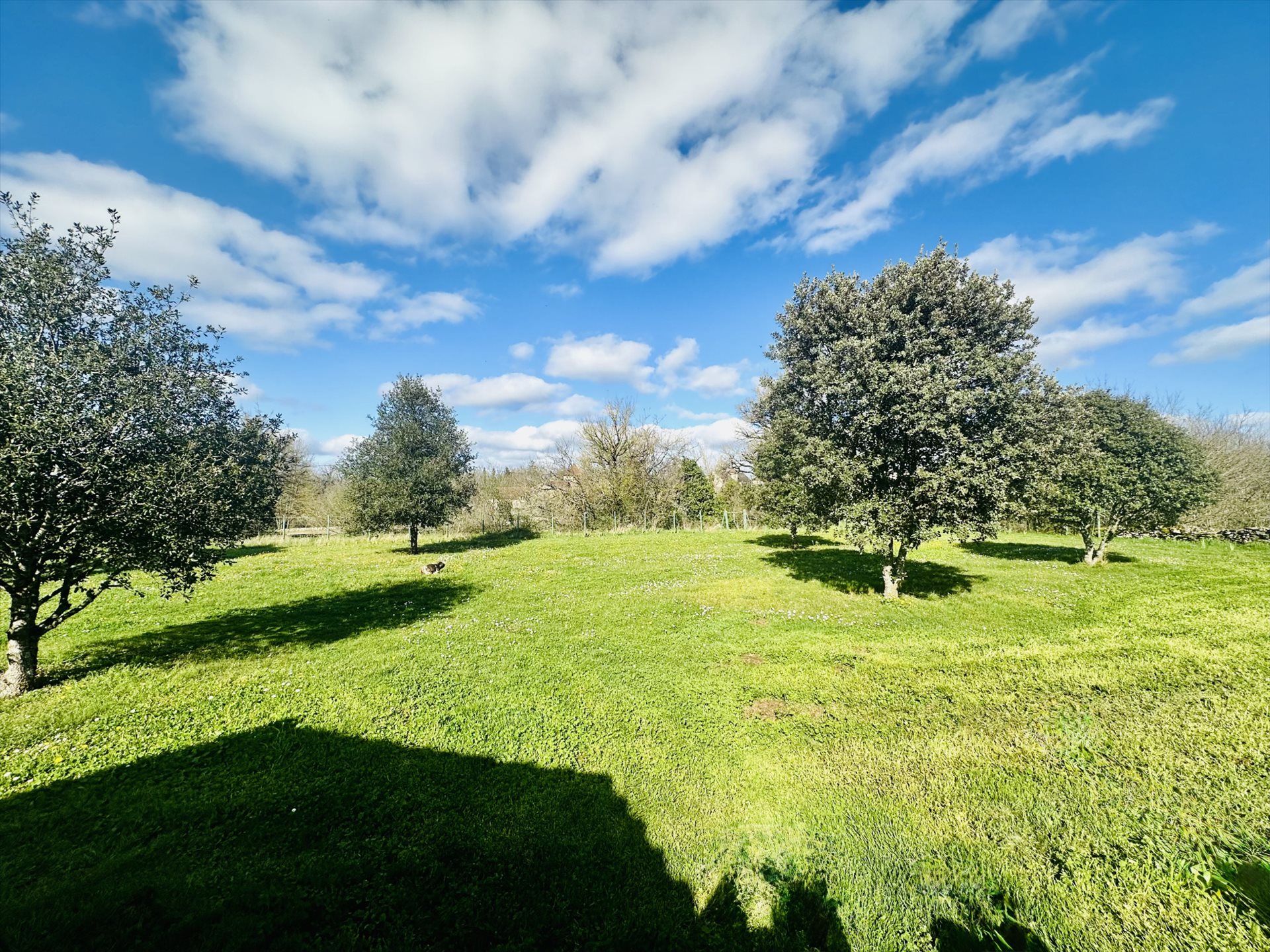 Maison à vendre, 111m², Varaire